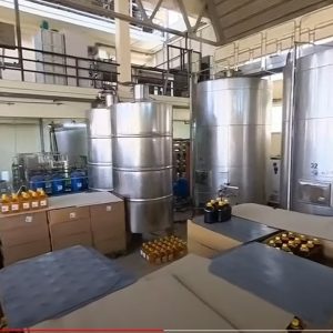 Cantina Sociale di Barletta – Reparto produttivo 2