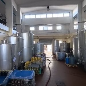 Vignuolo – La cantina all’interno